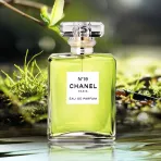 Шанель N°19 Eau De Parfum Spray 100ml CHANEL 2